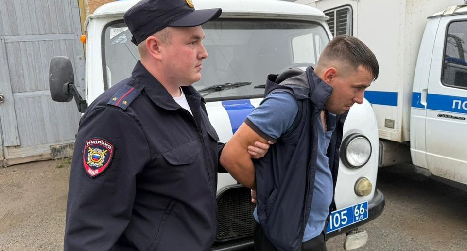 Житель Свердловской области подозревается в убийстве краснокнижного лебедя