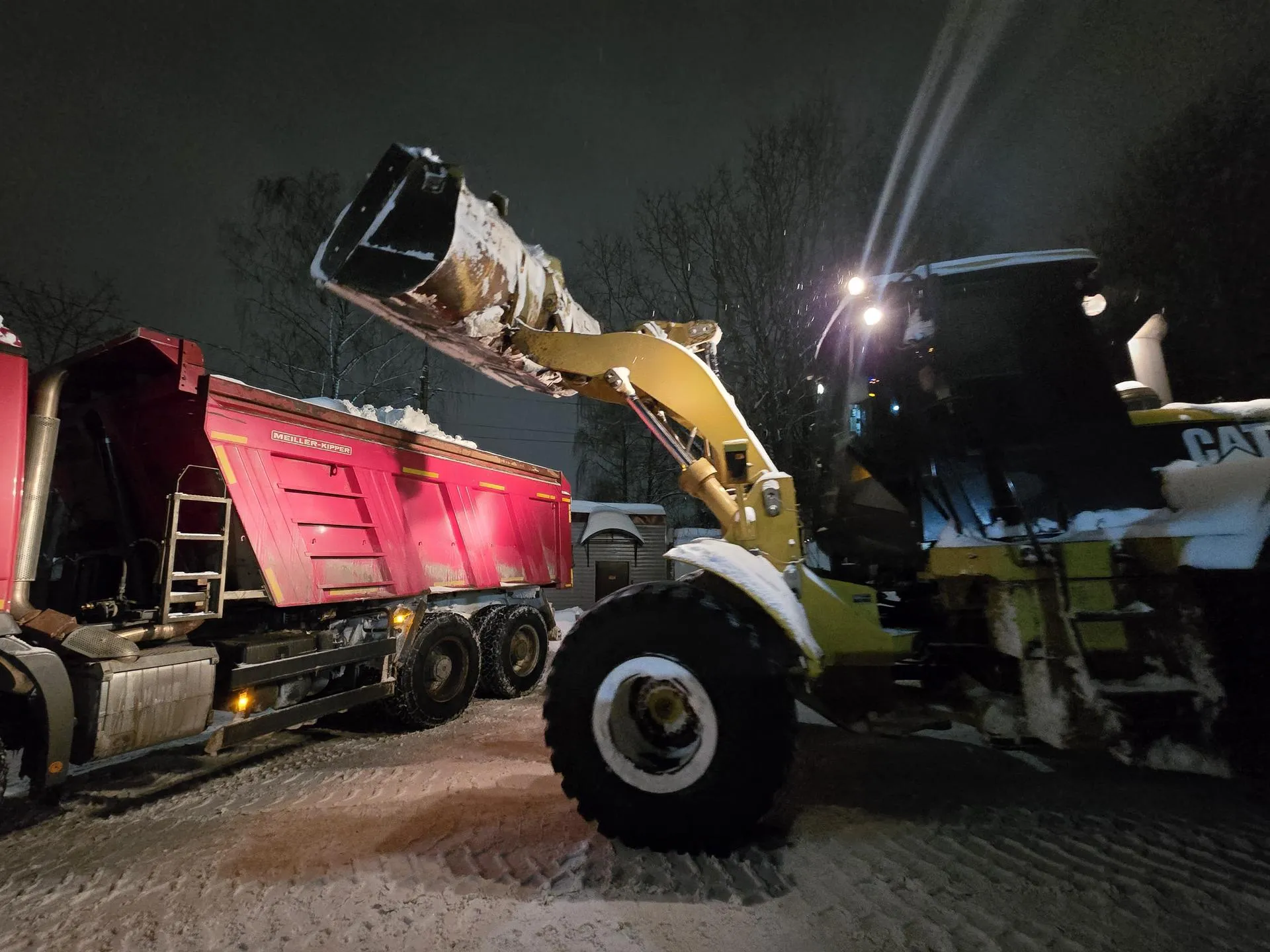 REGIONS/Яна Шаливская