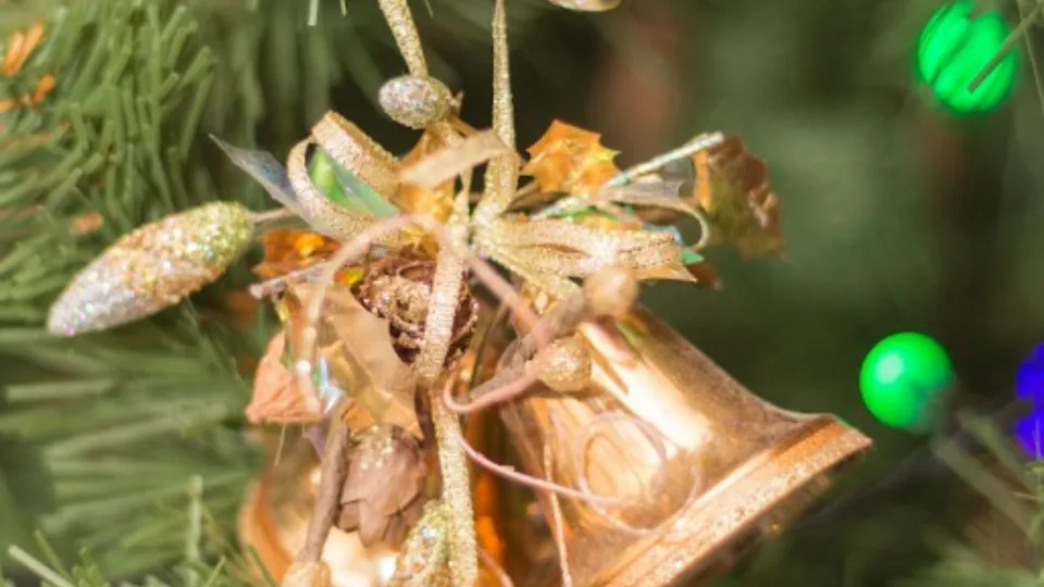 Фото: REGIONS/Людмила Матвиенко