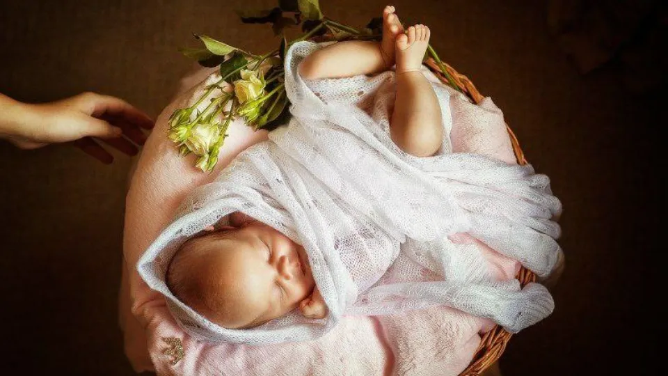 Фото: Министерство социального развития Московской области