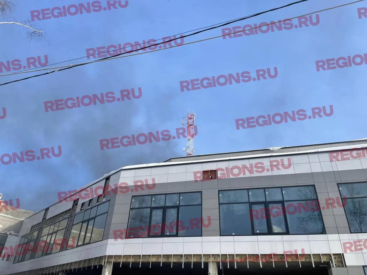 Фото: Дарья Леонова