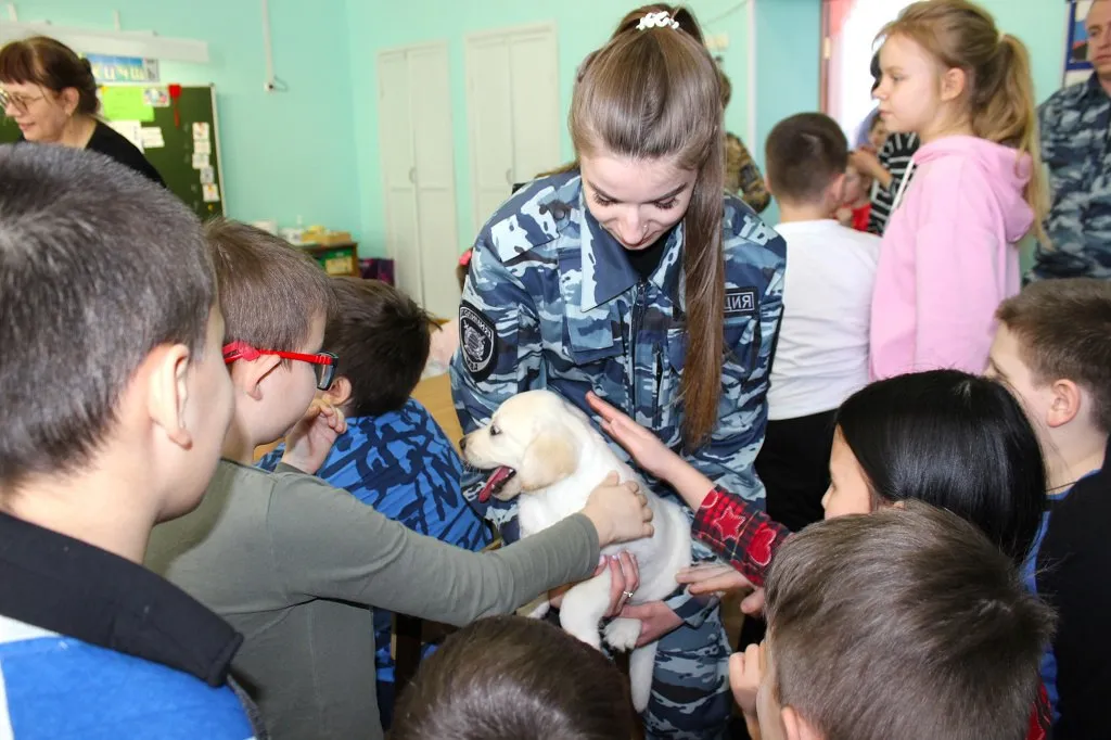 Фото: УМВД России по Дмитровскому городскому округу.