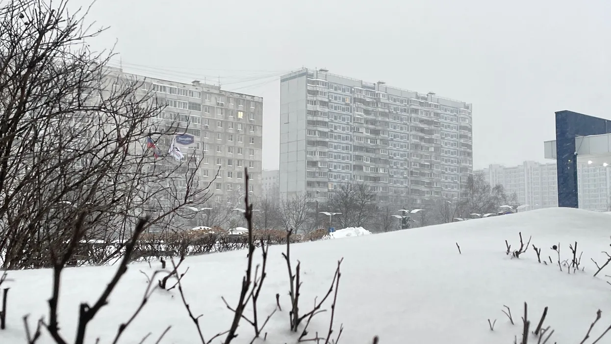 Фото: социальные сети