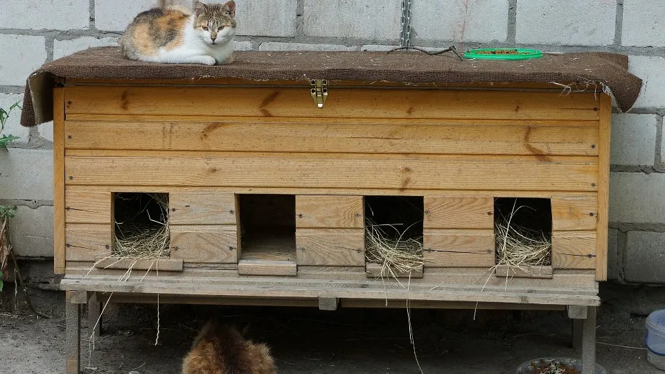 Фото: istockphoto.com/Анатолий Тушенцов