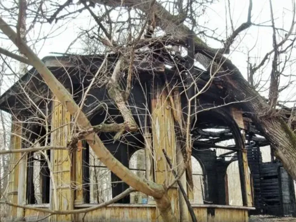 Фото: Антон Саков/Подмосковье сегодня