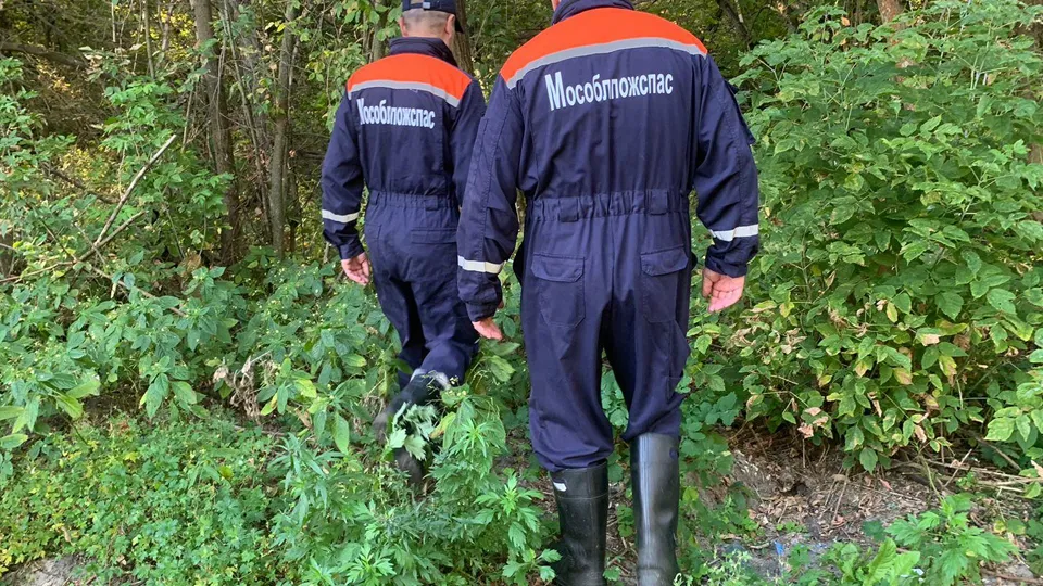 Фото: ГКУ МО «Мособлпожспас»