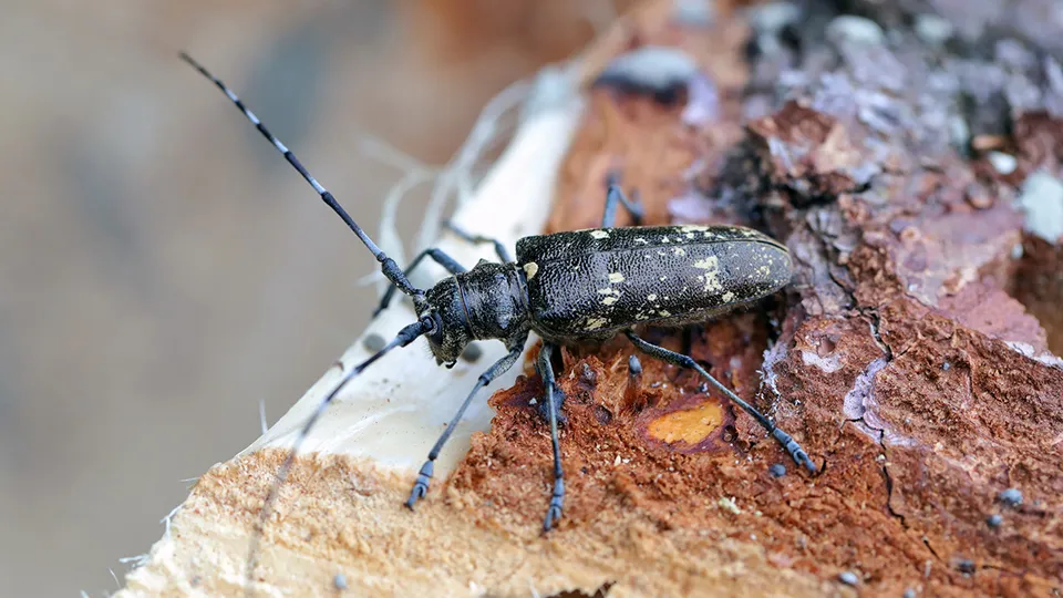 Фото: istockphoto.com