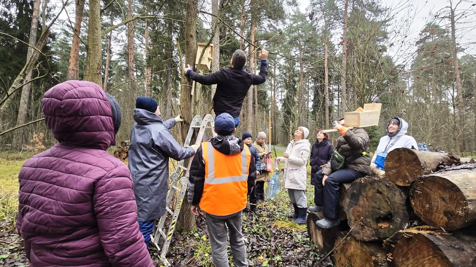 Акция в поддержку зимующих птиц: жители Городского округа Пушкинский развесили кормушки в лесопарке Северный