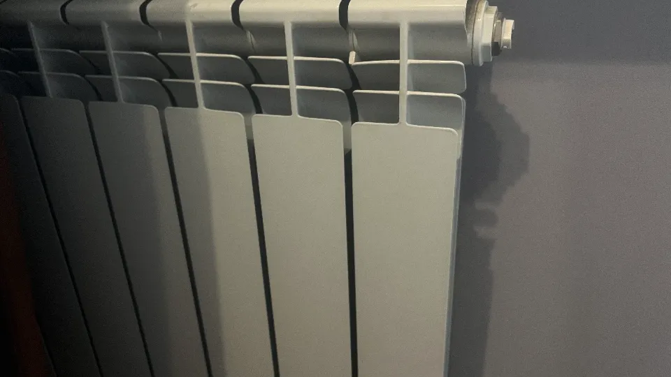 Фото: REGIONS/Светлана Стофорандова