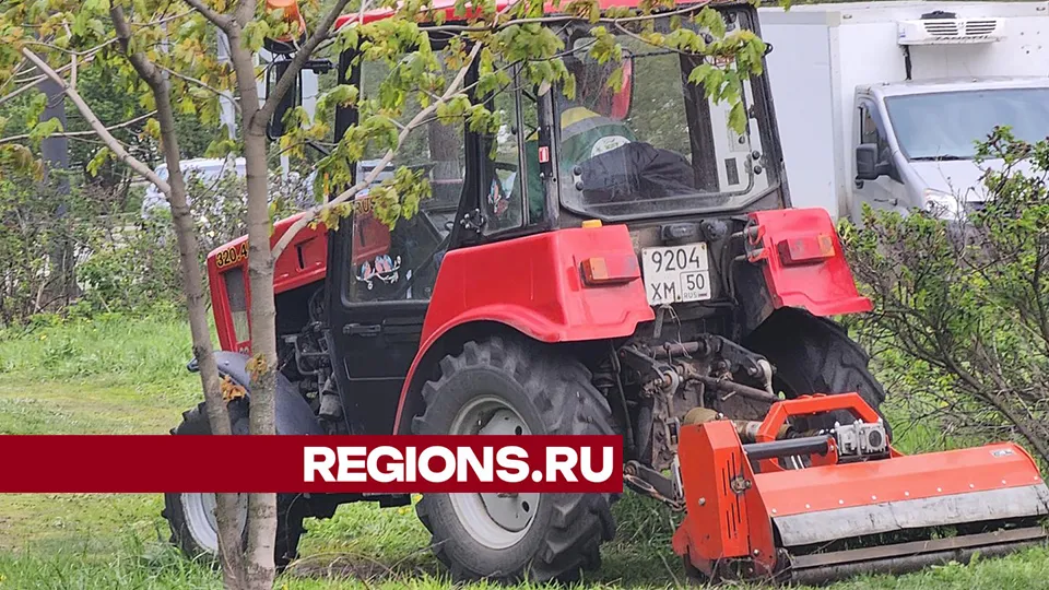 Фото: REGIONS/Михаил Раскин