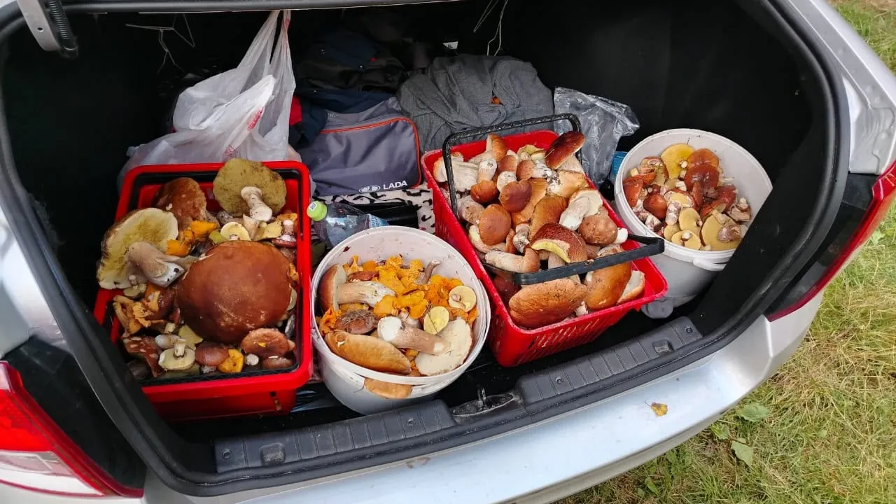 Фото: личный архив Михаила Габятдинова