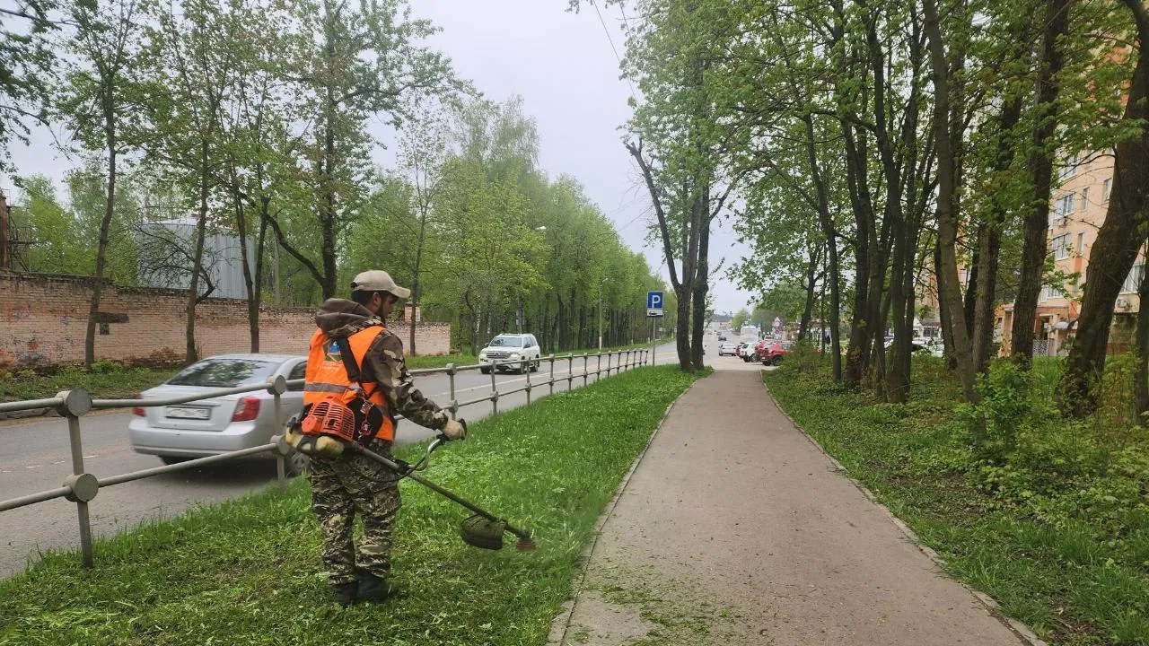 Картинка