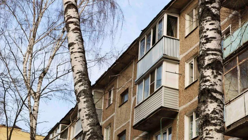 Фото: Администрация Павлово-Посадского г.о.