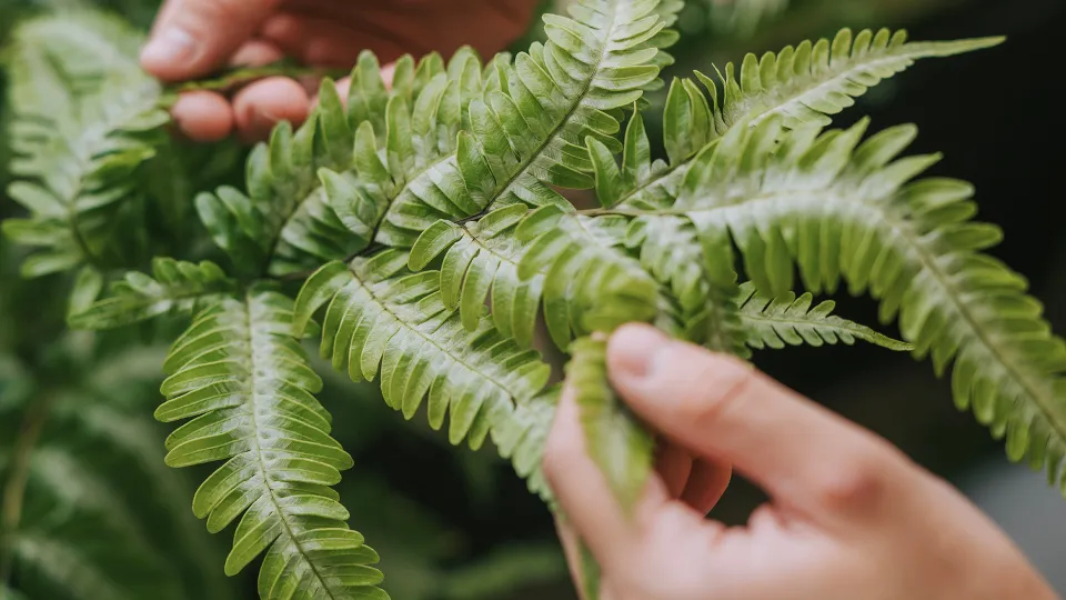 Фото: istockphoto.com