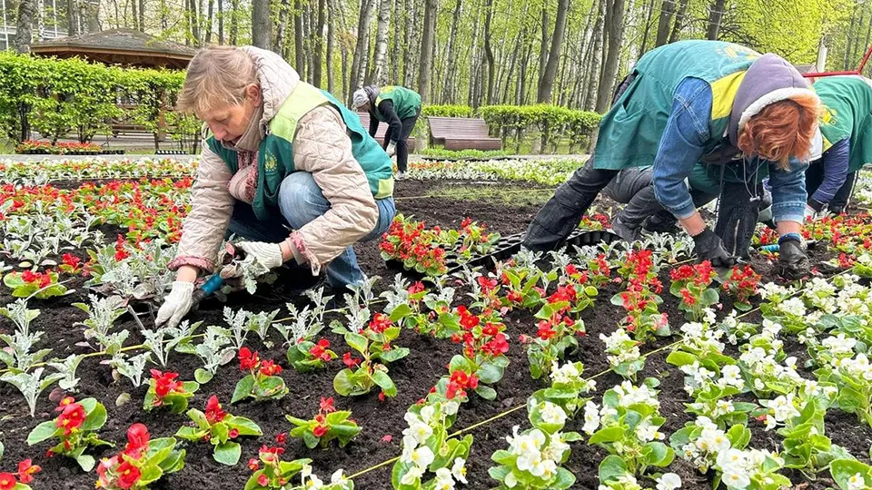 Фото: пресс-служба администрации г.о. Королев
