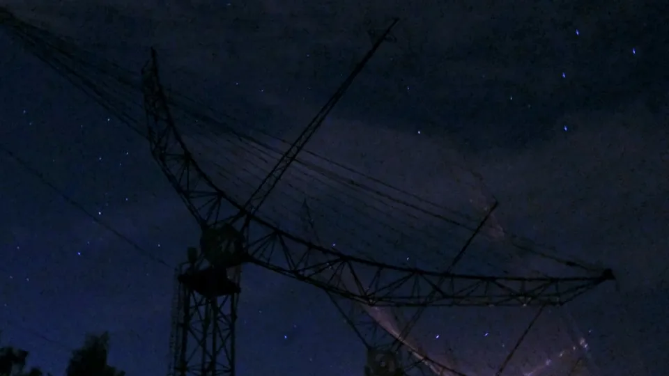 Фото: МедиаБанк Подмосковья/Мария Панина