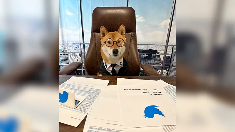 Илон Маск «назначил» милую собаку на руководящую должность в Twitter