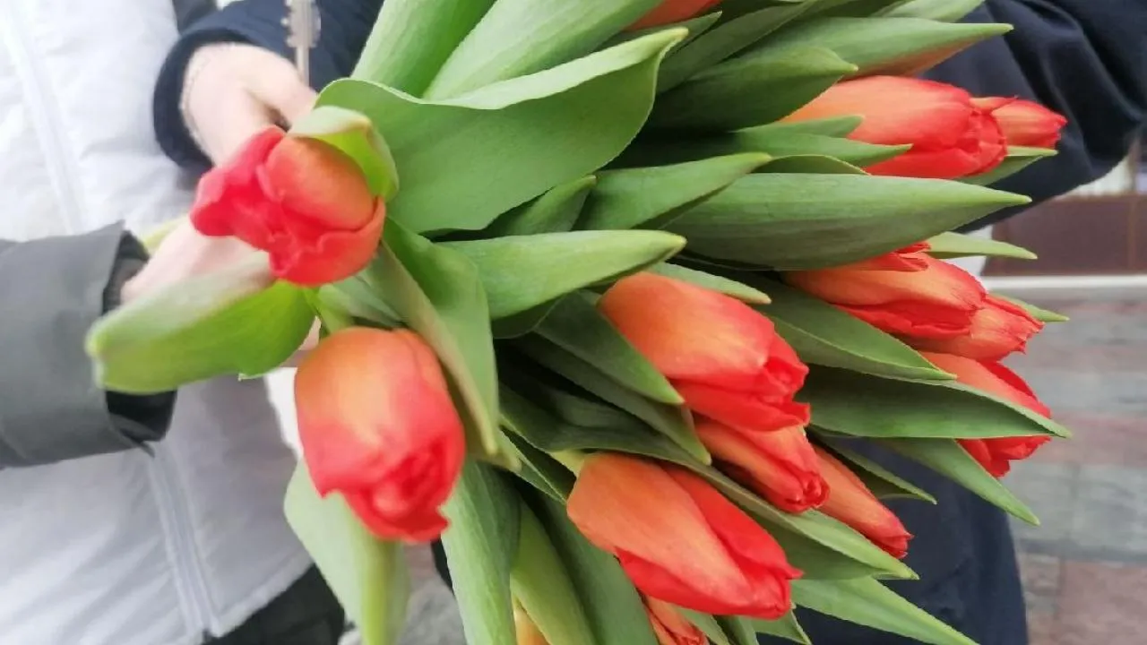 МедиаБанк Подмосковья/Роман Савельев