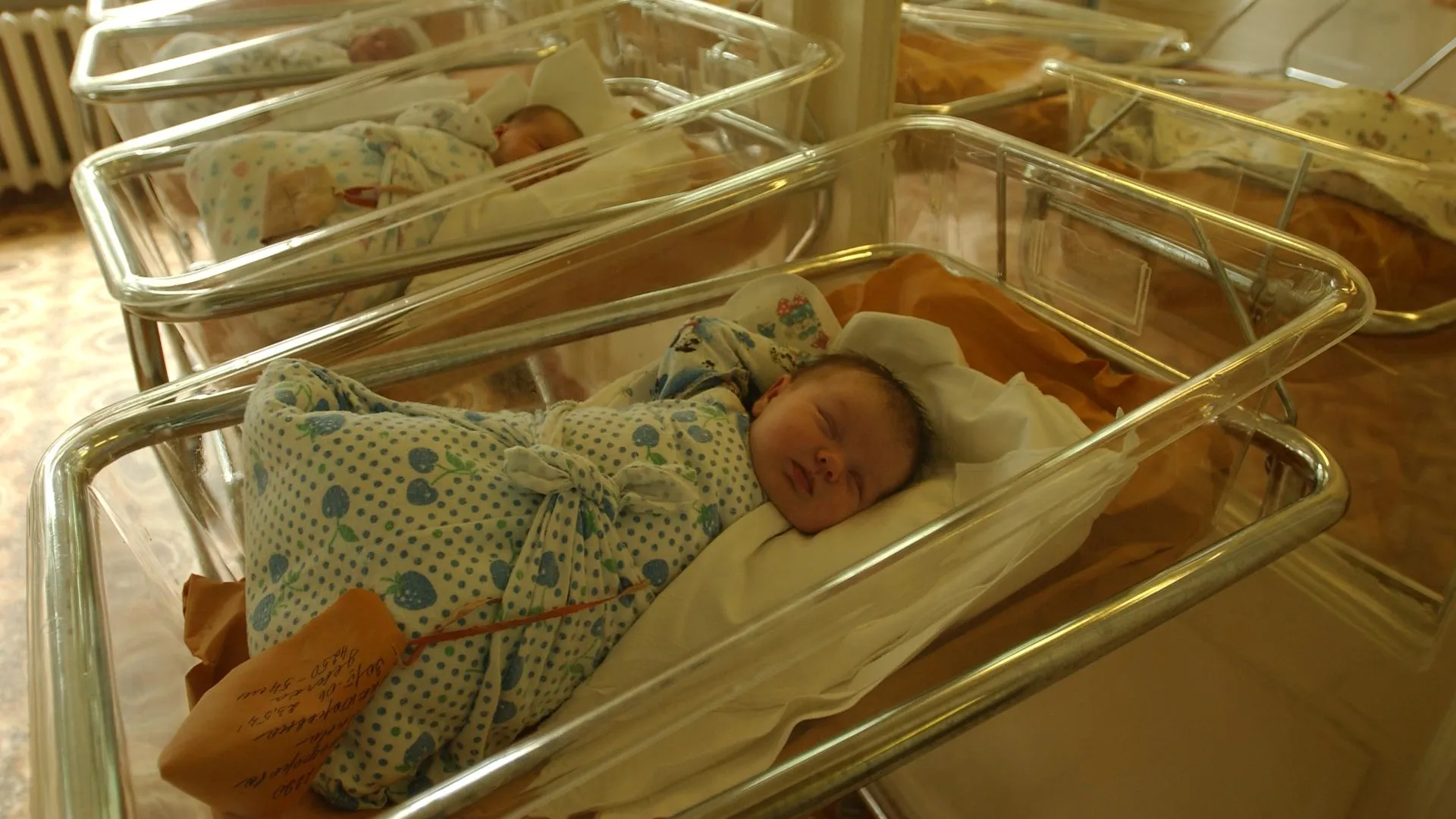 Anton Kavashkin/Russian Look