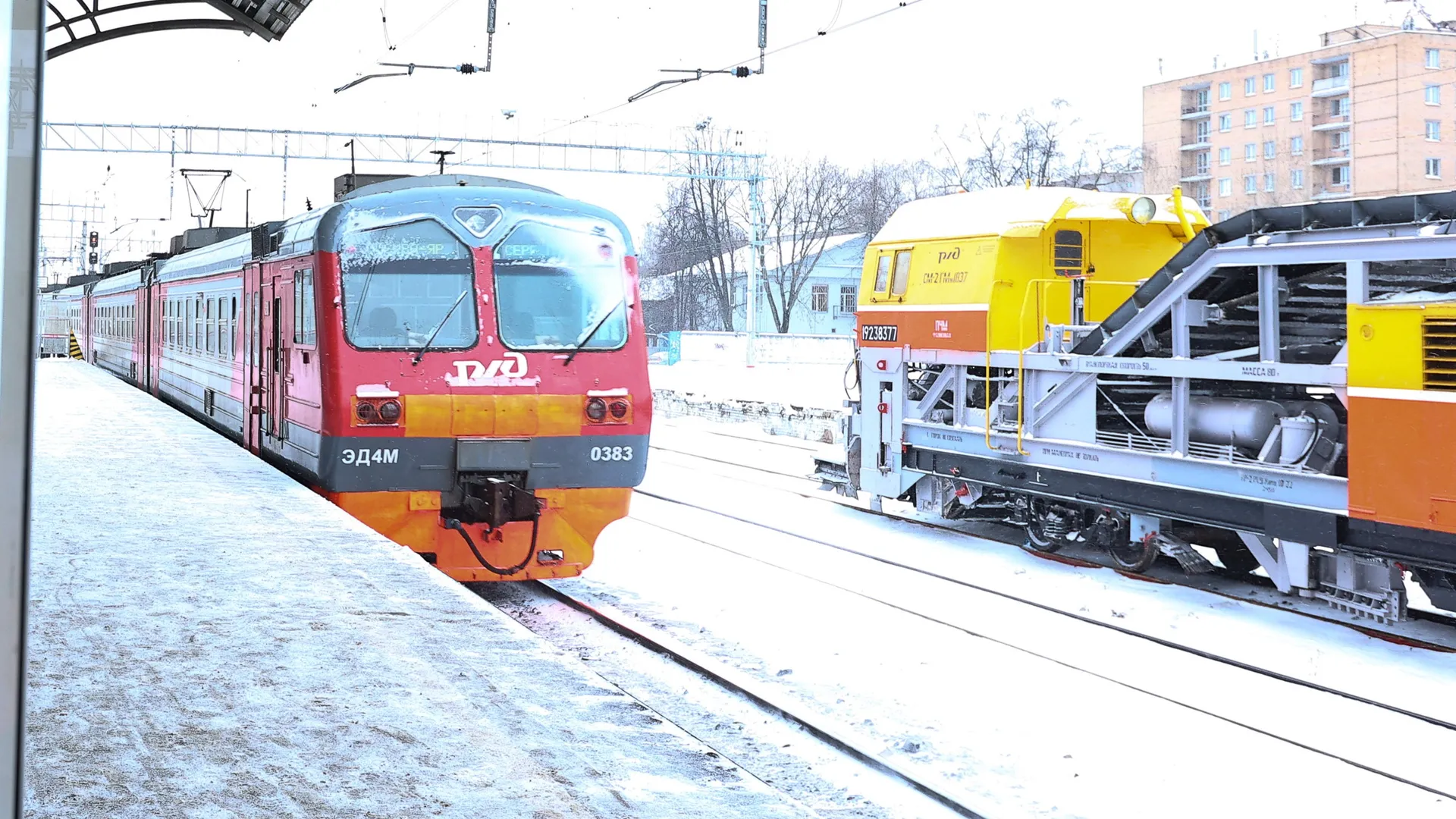 Фото: медиасток.рф