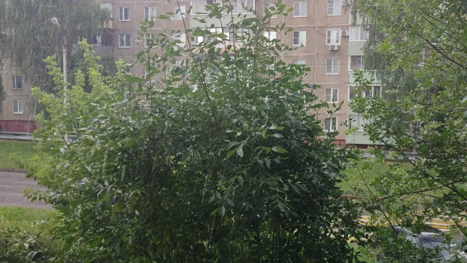 Фото: REGIONS/Елена Забелина