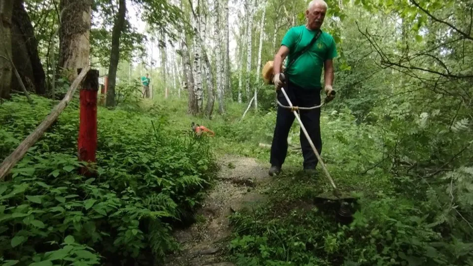 Фото: Ступинский филиал ГАУ МО «Мособллес»