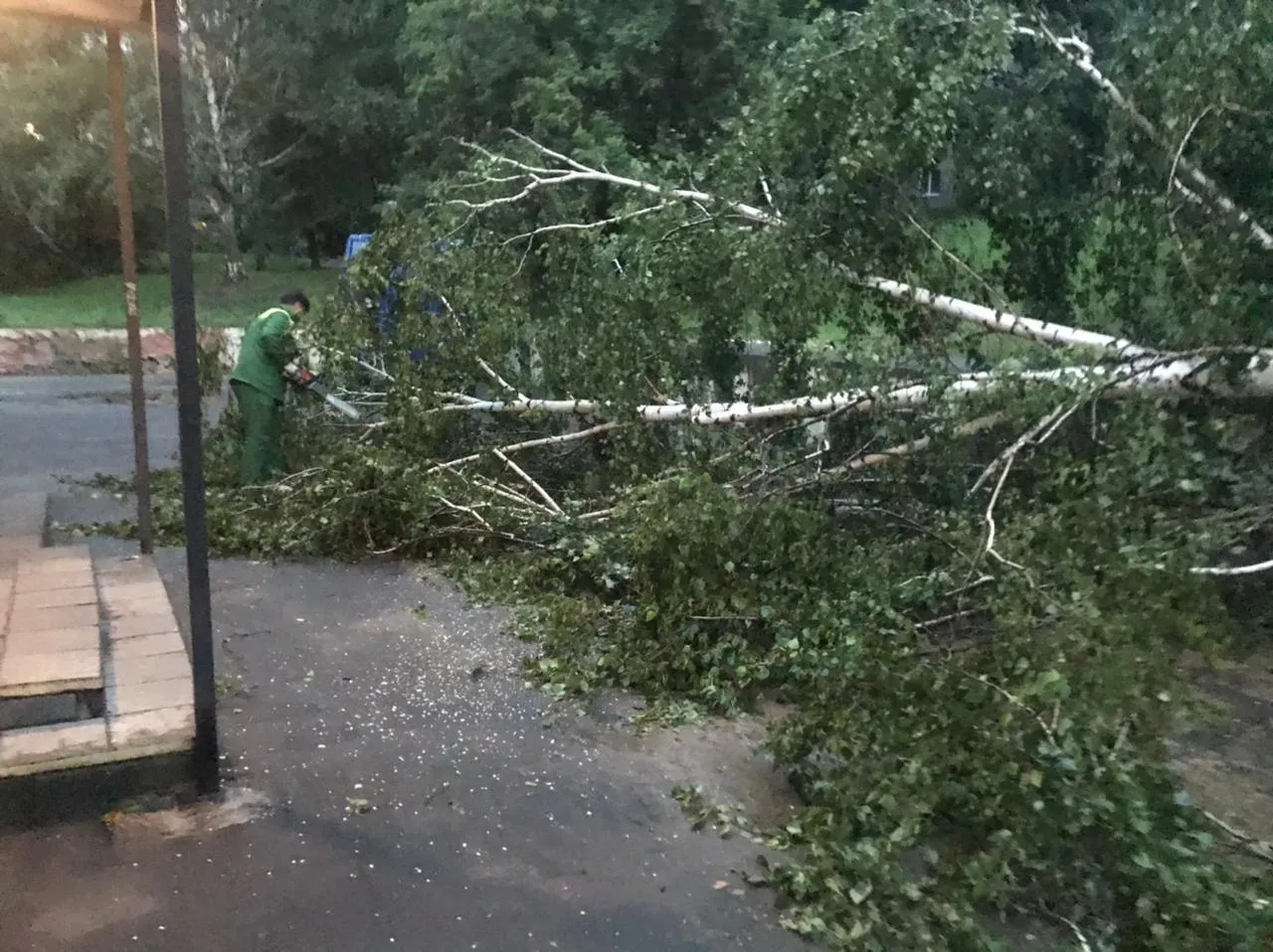 Фото: Михаил Моисеев