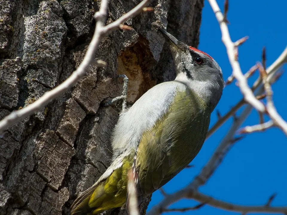 Фото: unsplash.com