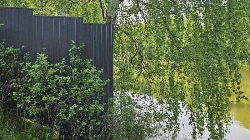 Фото: Министерство экологии и природопользования Московской области