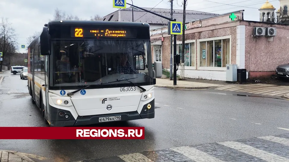 Фото: Хавива Фонина