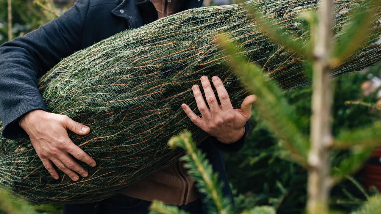 istockphoto.com/miniseries