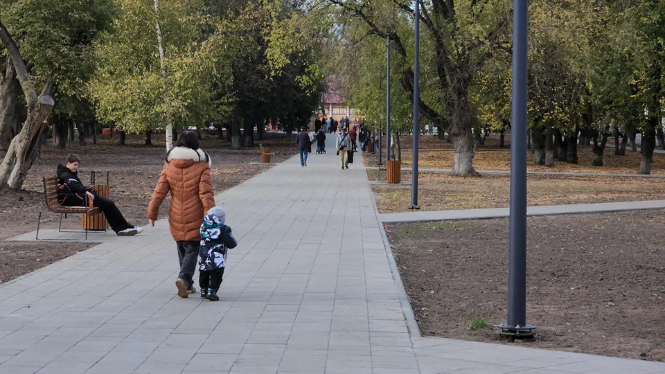 Фото: Министерство благоустройства Московской области