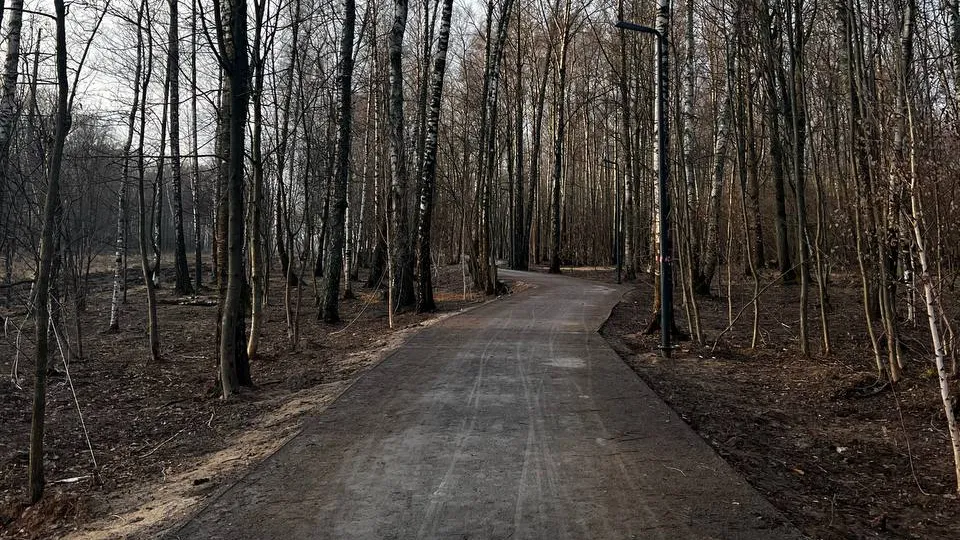 Фото: t.me/gubernsky_les