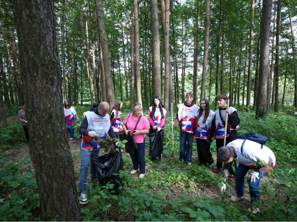 Фото: пресс-служба администрации г. о. Подольск
