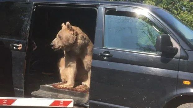 Госветслужба МО