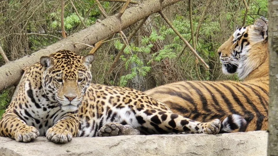 Фото: Яна Шаливская