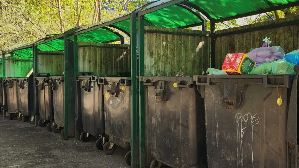 Фото: МедиаБанк Подмосковья/Хавива Фонина