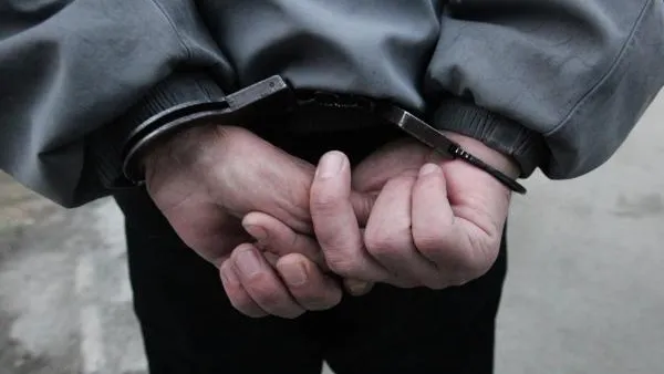 Задержан похититель инвентаря из детсада в Ивантеевке