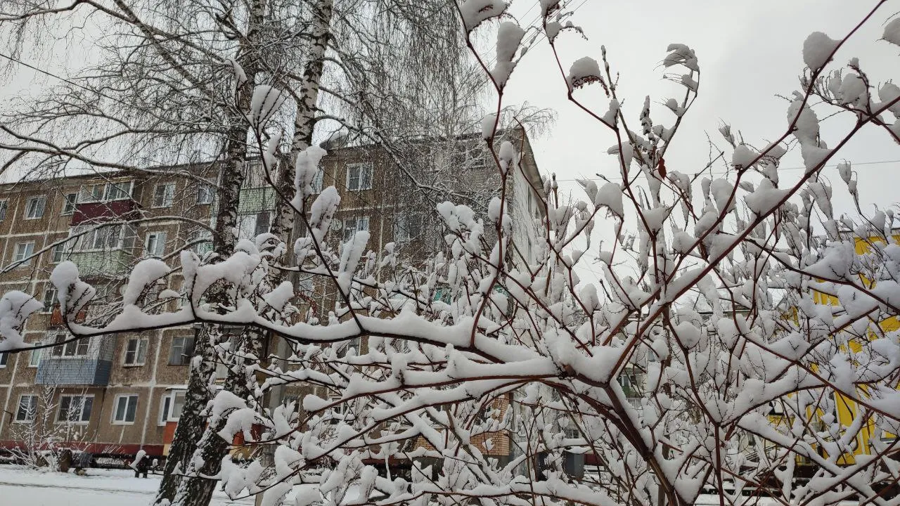 Фото: REGIONS/Елена Забелина