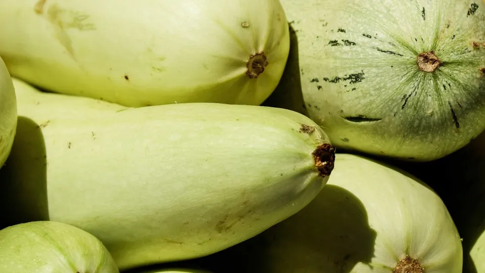 Фото: pxhere.com