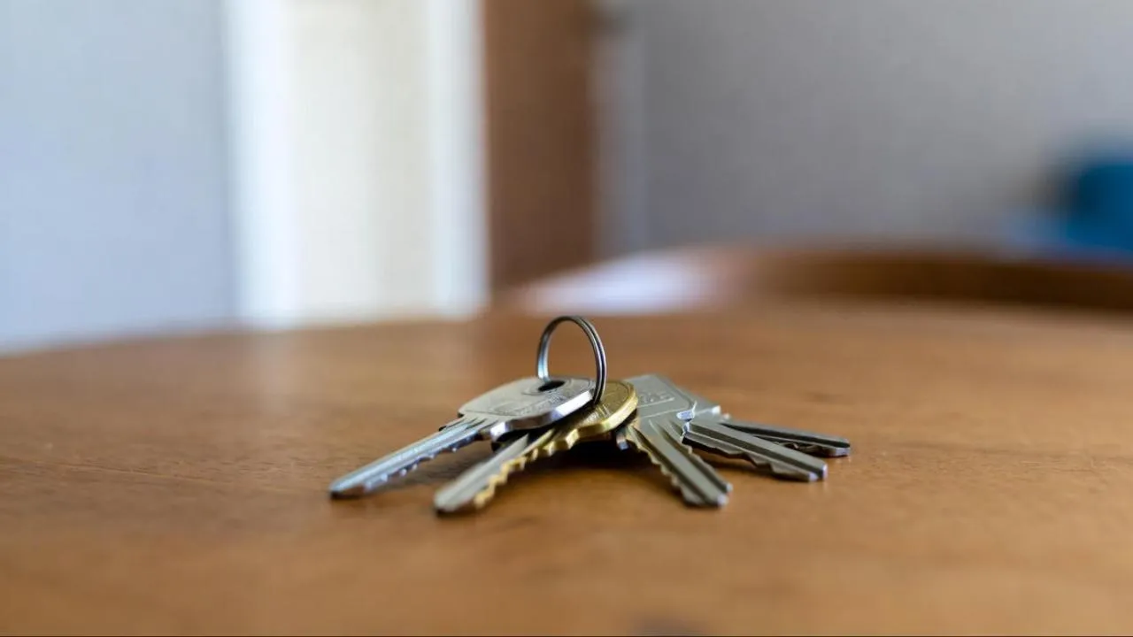 Депутат предложил варианты решений по громкому делу Ларисы Долиной