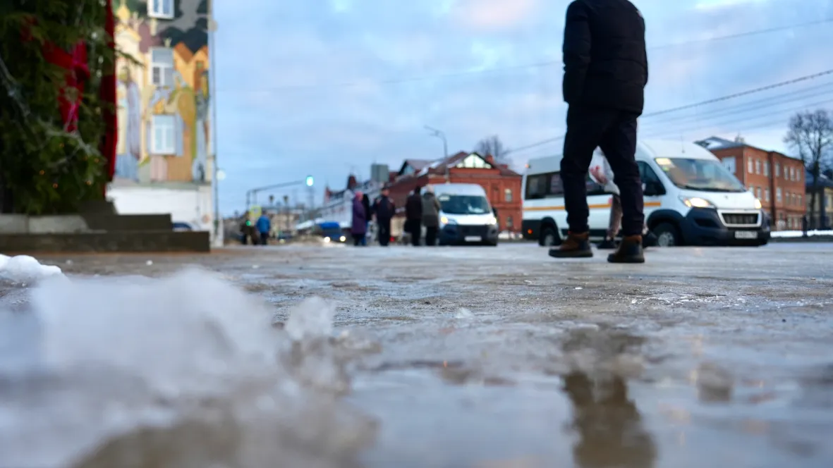 Фото: МедиаБанк Подмосковья/Дмитрий Зайчиков