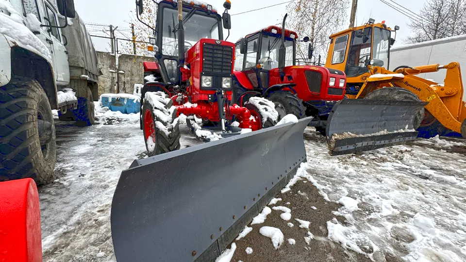 Фото: МедиаБанк Подмосковья/Татьяна Рунова