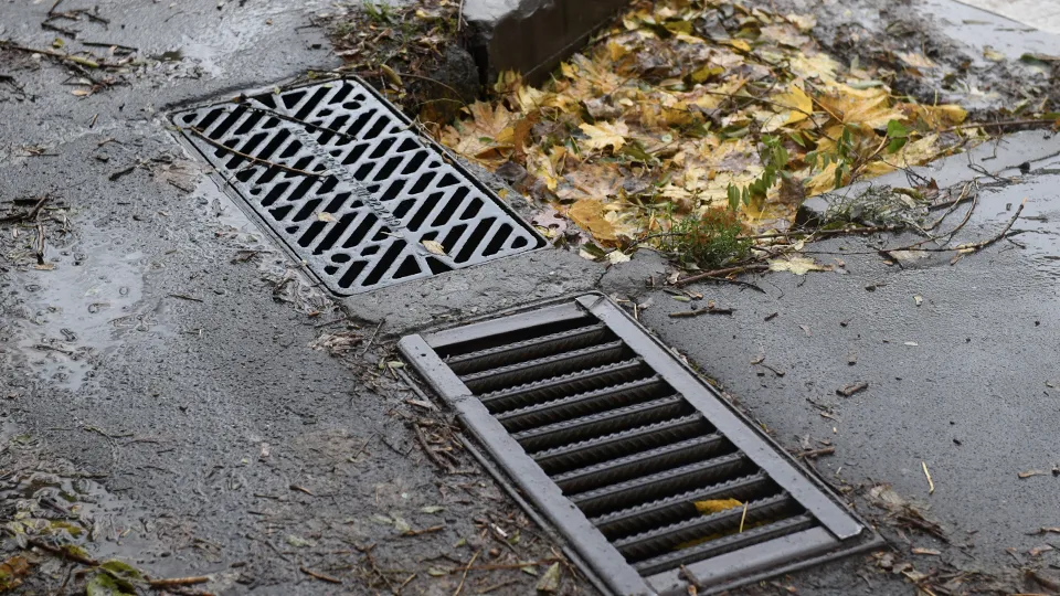 Фото: МедиаБанк Подмосковья/Дарья Попова