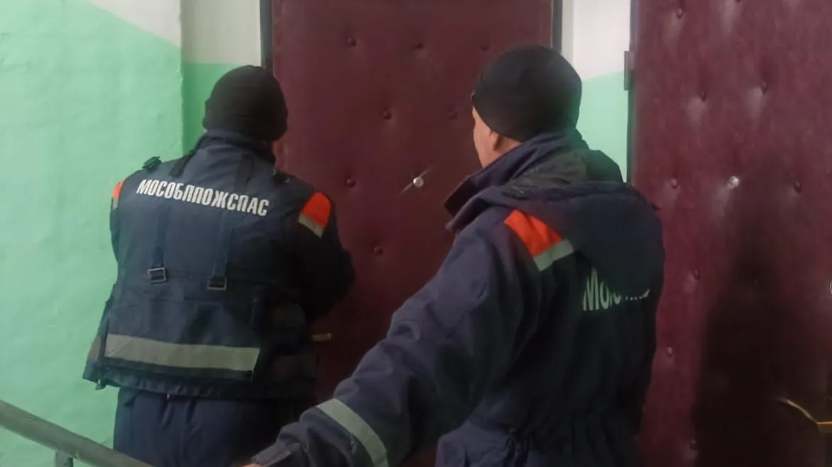 Фото: ГКУ МО «Мособлпожспас»