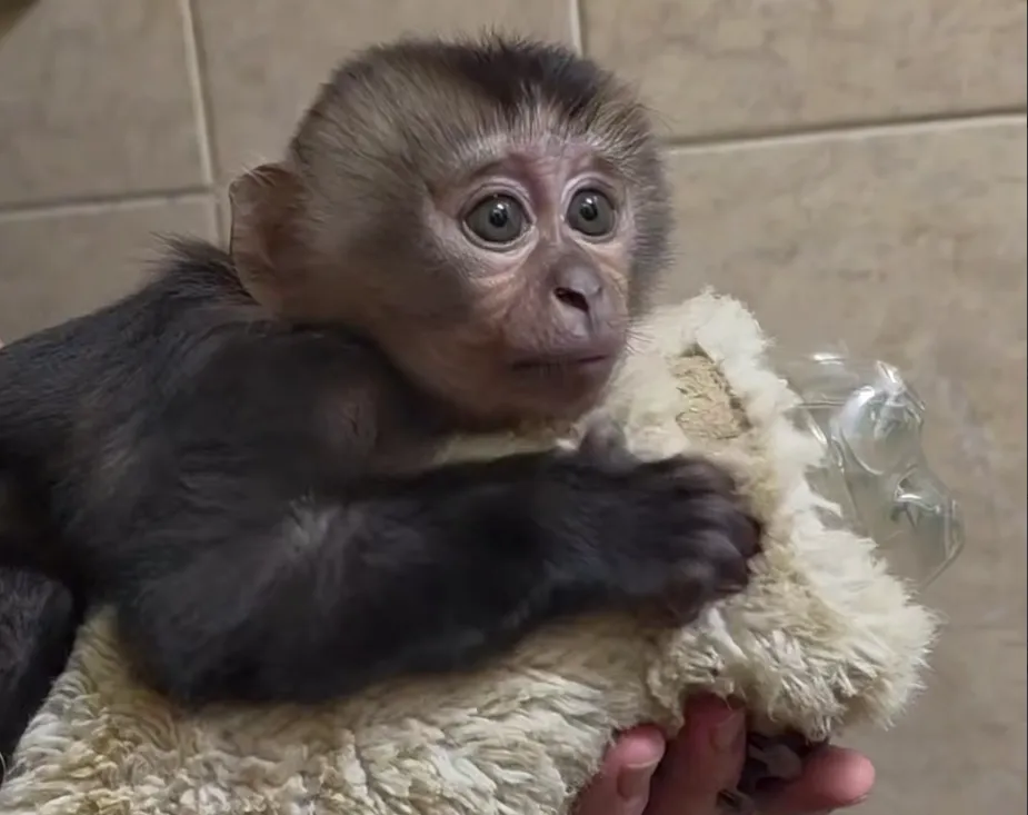 Ленинградский зоопарк