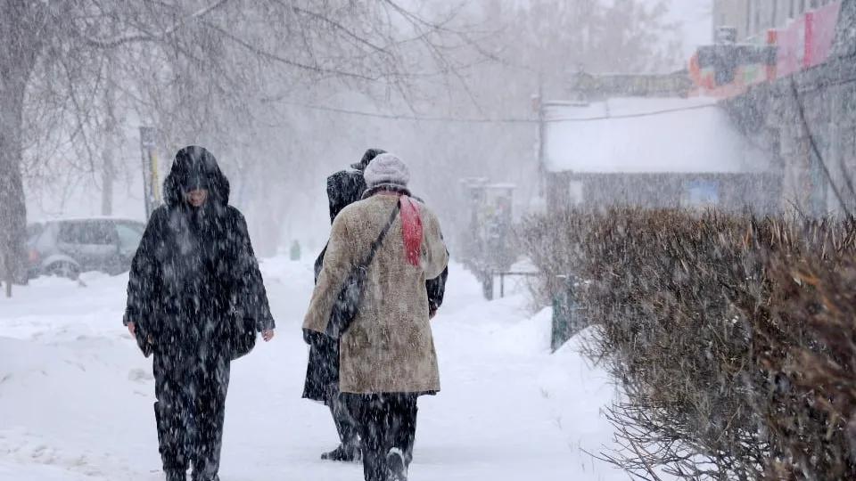 Фото: медиасток.рф