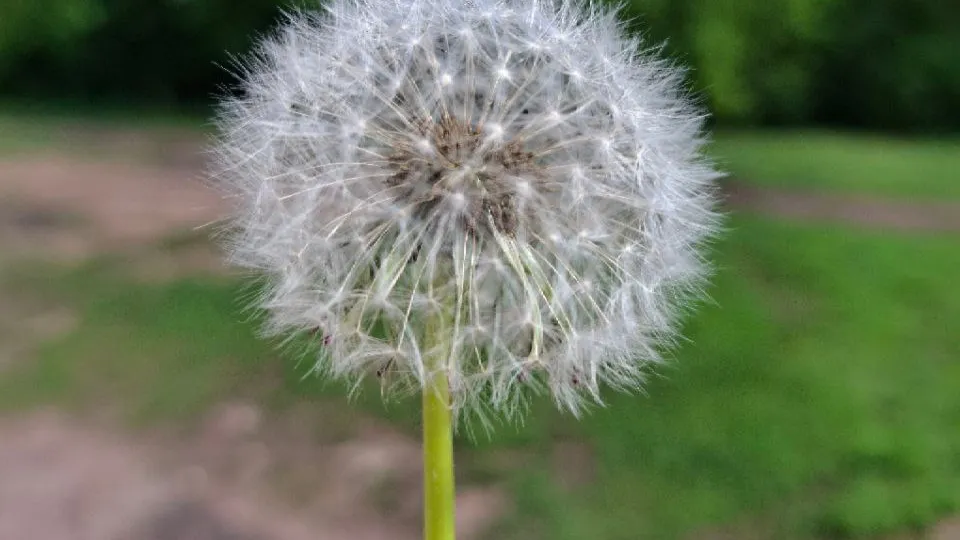 Фото: REGIONS/Юлия Габбасова