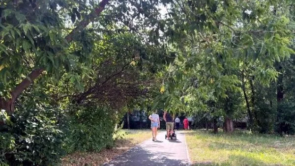 Фото: пресс-служба Администрации г.о. Серпухов