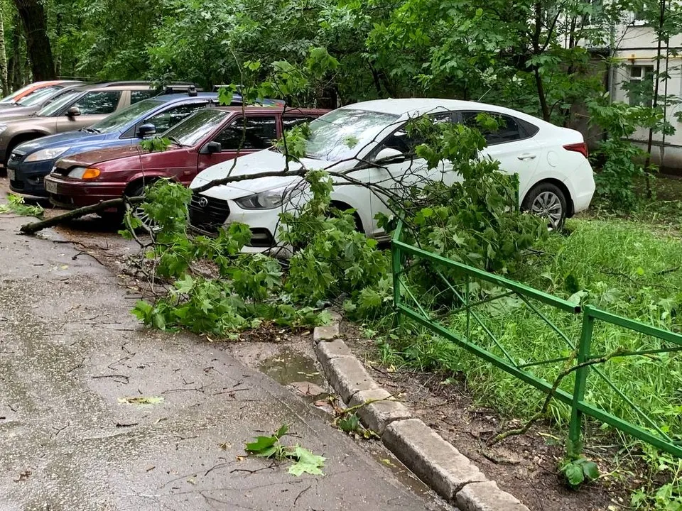 Фото: t.me/Odintsovo_LIVE